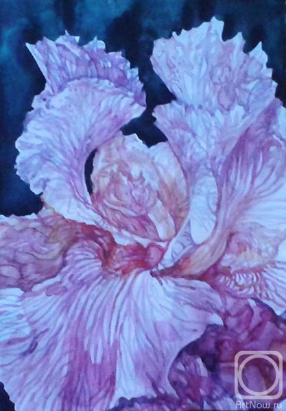 �������. ������� ������. ������