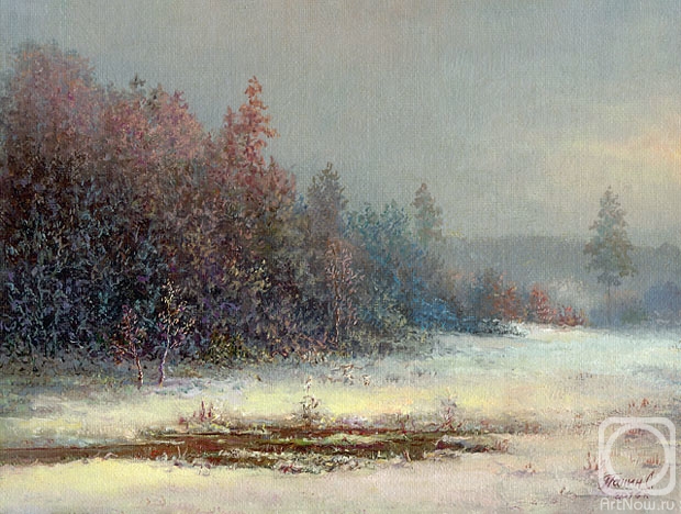 Panin Sergey. Echoes of winter