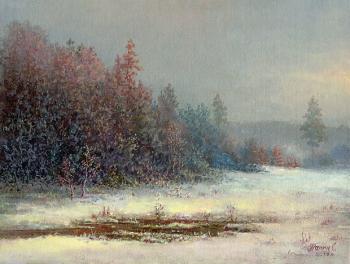 Echoes of winter. Panin Sergey