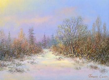 Winter landscape. Panin Sergey
