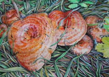 ������� ������ �������!!!�