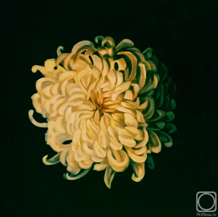 Himich Alla. Chrysanthemum