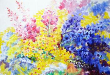 Sunny grasses. Mikhalskaya Katya