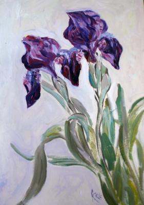 ������� ���� ������ �����