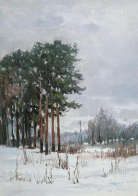 Pines in winter. Toporkov Anatoliy