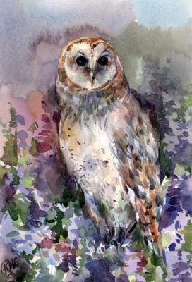 The Owl. Parfenova Ekaterina