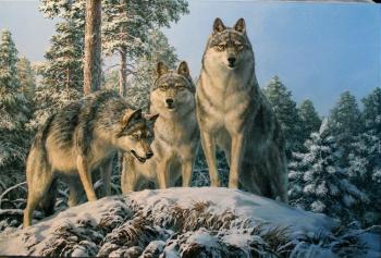 The Three Wolves. Danchurova Tatyana