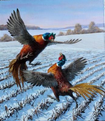 Pheasants. Danchurova Tatyana