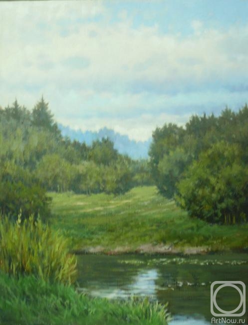 Toporkov Anatoliy. Forest River