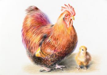 ������� ������ ����������