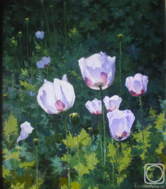 Kurnosov Andrey. Untitled