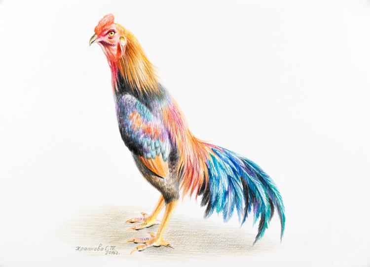 �������. �������� ��������. �������� �����