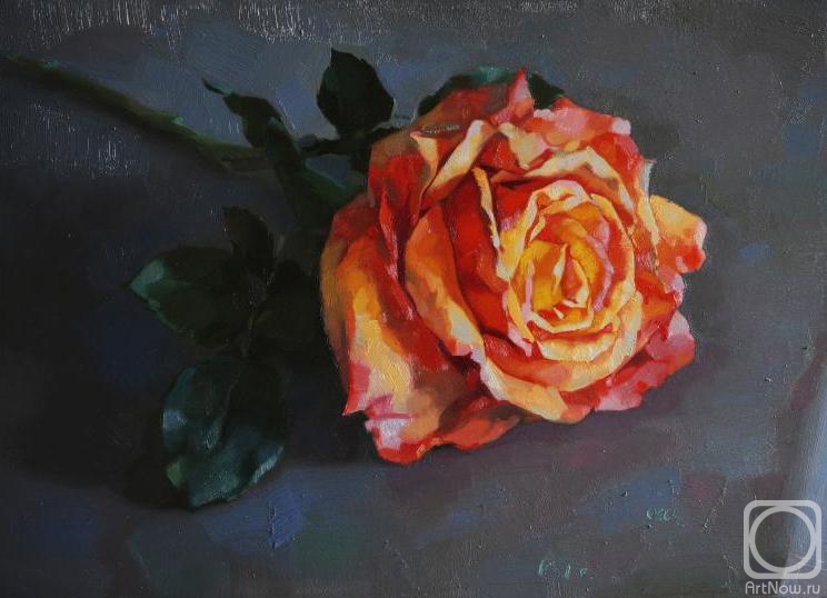 �������. ��������� �������. ����