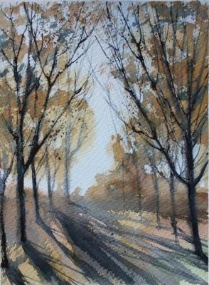 Autumn shadows. Petrovskaya Irina