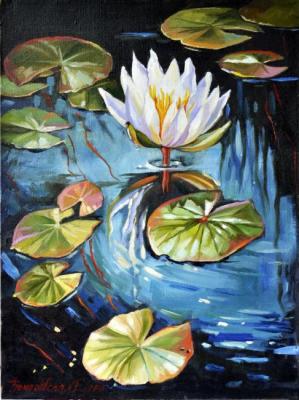 Nymphaeum. Komarovskaya Yelena