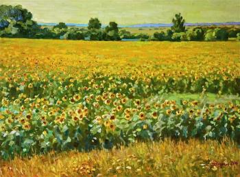Sunflower field. Vyrvich Valentin