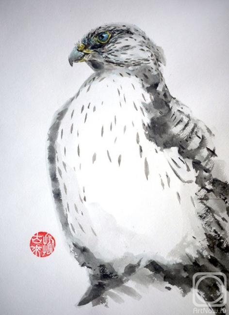 �������. ������� �������. ������ (Falco Rusticolus)
