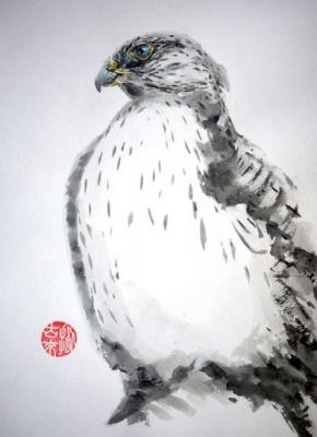  (Falco Rusticolus) ().  