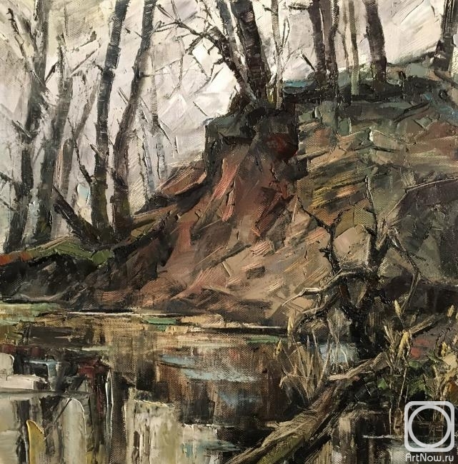 Rakcheev Vladimir. Whirlpool silence