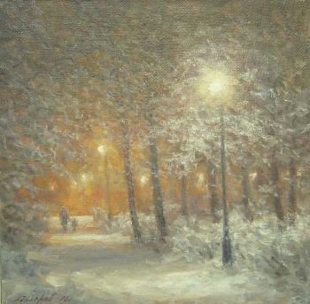 Evening in the winter park. Gaiderov Michail