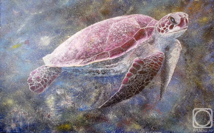 ������� ������ �� ������. ��������� ������. ����������� ��������