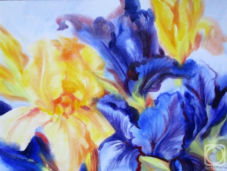 �������. ���������� ���������. ����� �� ������