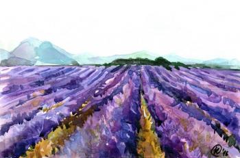 Lavander (Provance). Parfenova Ekaterina
