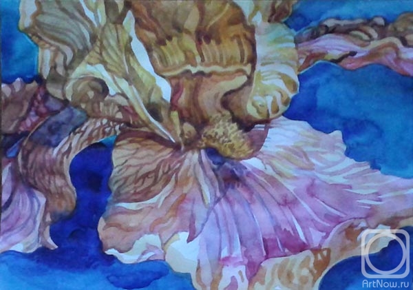 �������. ������� ������. ��������