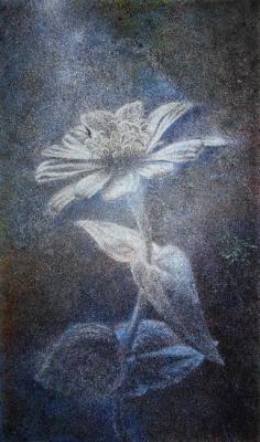 Lunar flower. Pogrebnoy Bogdan