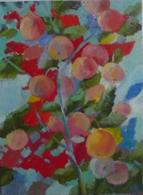 ������� ���������