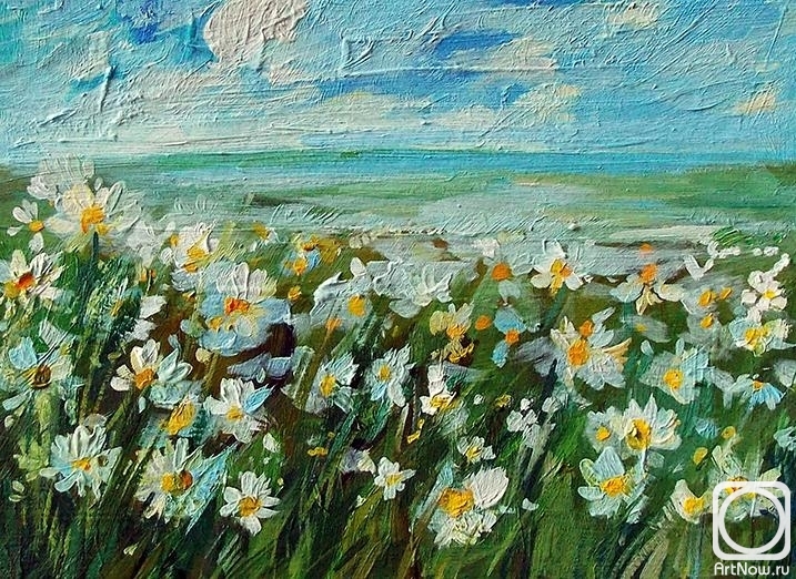 Gerasimova Natalia. Field with daisies