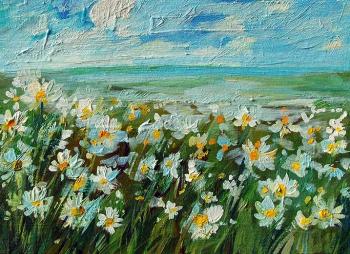 Field with daisies (Daisy Flowers Field). Gerasimova Natalia