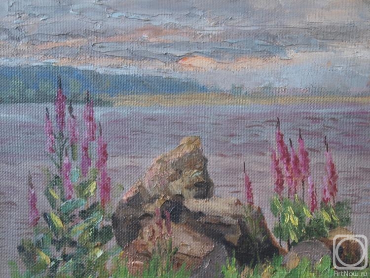 Chernyy Alexandr. Fireweed on the banks of the Kama river