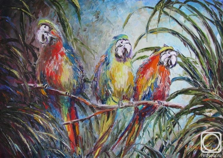 Kruglova Svetlana. Birds of Paradise