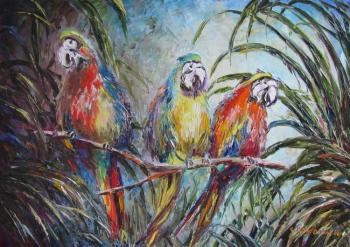 Birds of Paradise. Kruglova Svetlana