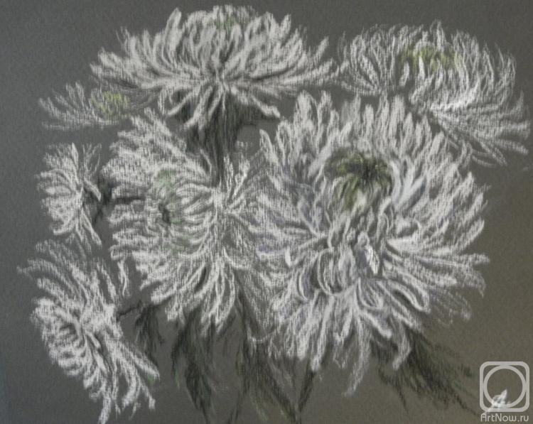 Volkova Olga. Chrysanthemums