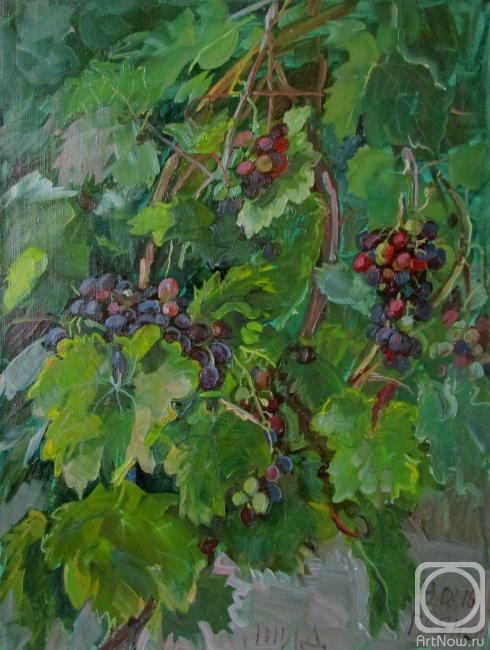 Dobrovolskaya Gayane. Serbian grapes