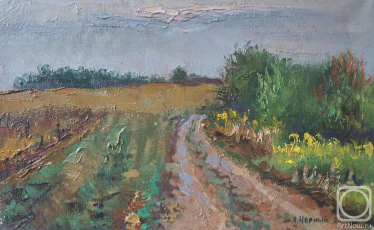 Chernyy Alexandr. Road in field