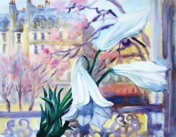 ����� � ����. ���������� ���������