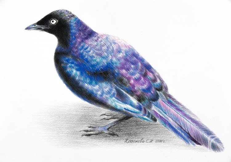 �������. �������� ��������. ������������� ��������� �������