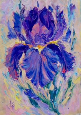 the Lilac Iris. Sergeyeva Irina