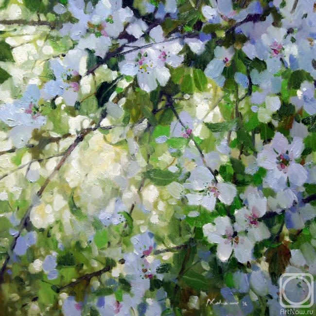 ������� ������ �� ������. �������� �������. � �����