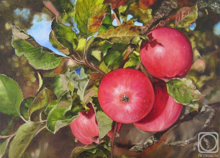 Shaykina Natalia. Red apples
