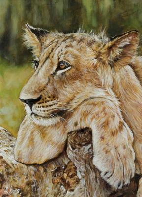 Young lion. Volya Alexander