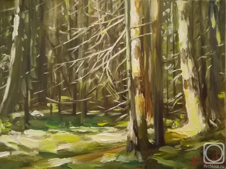 ������� ������ �� ������. ������� ������. ������ ����