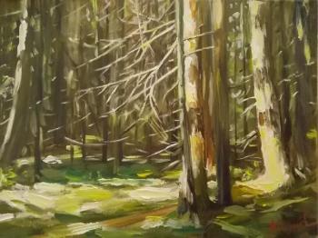 ������� ������� ����