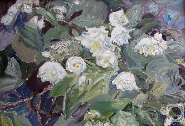 �������. ����� ������. ������ �� ������� � �������