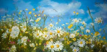 Daisies and buttercups