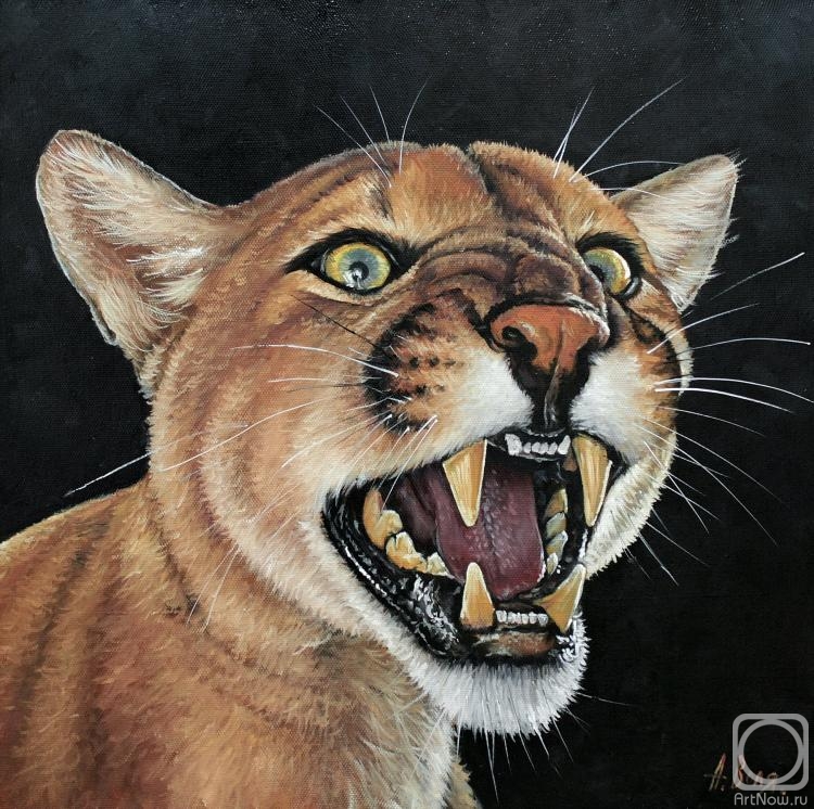 Volya Alexander. Lioness predator