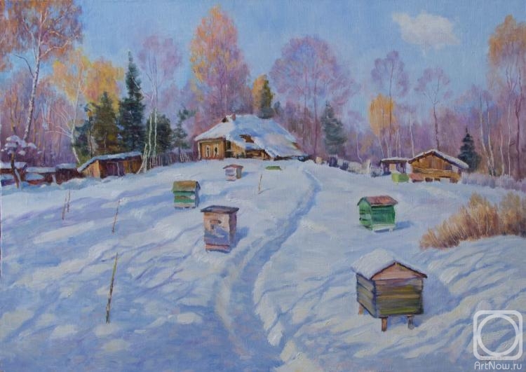 Volkov Vladimir. Winter sun